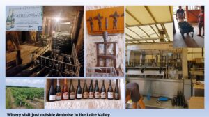 Loire Valley Winery Tour near Amboise, France